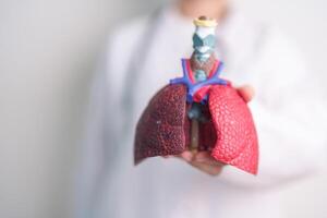 Doctor with Smoker and normal Lung anatomy for Disease. Lung Cancer, Asthma, Chronic Obstructive Pulmonary or COPD, Bronchitis, Emphysema, Cystic Fibrosis, Bronchiectasis, Pneumonia and world Lung day photo