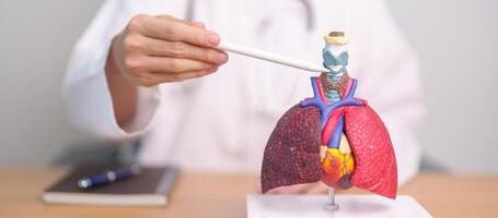 Doctor point Thyroid and Cricoid of Respiratory system anatomy for Diseases. Lung Cancer, Asthma, Chronic Obstructive Pulmonary, Bronchitis, Emphysema, Cystic Fibrosis, Bronchiectasis and Pneumonia photo