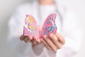 Doctor with Smoker and normal Lung anatomy for Disease. Lung Cancer, Asthma, Chronic Obstructive Pulmonary or COPD, Bronchitis, Emphysema, Cystic Fibrosis, Bronchiectasis, Pneumonia and world Lung day photo