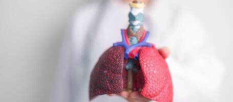 médico con fumador y normal pulmón anatomía para enfermedad. pulmón cáncer, asma, crónico obstructivo pulmonar o copd, bronquitis, enfisema, cístico fibrosis, bronquiectasias, neumonía y mundo pulmón día foto