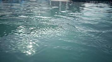 A stone falls into the water in slow motion. Waves on the water and splashes are created after a stone falls into the lake. video