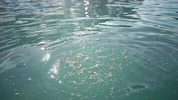 Pure fresh Water being splashed on River or Lake. Close up of Crystal Drops falling on Water Top. Background of Rippled Surface with many Drops video