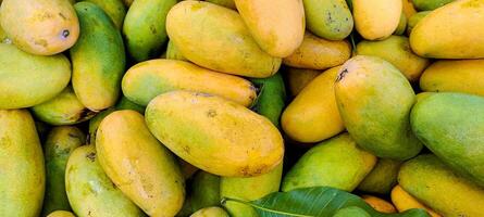 Heap of fresh ripe yellow mangoes background photo