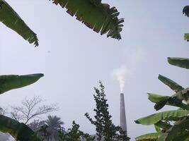 A view of old chimney with empty sky and trees. photo