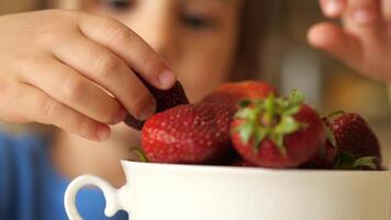 närbild barn flicka äter saftig jordgubbar på Hem video