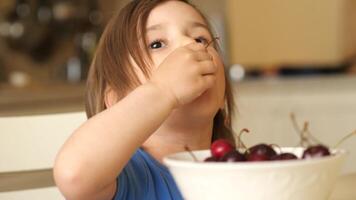 close-up happy baby girl eating ripe fresh cherries video