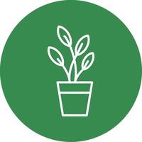 Dumb Cane Multi Color Circle Icon vector