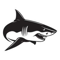 Fierce Black and White Shark Illustration vector