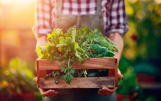 Farmer woman holding a box with fresh organic vegetables and fruits wih empty space for text. photo