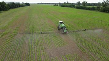 aéreo Visão do agricultura trator pulverização em açúcar beterraba campo com pulverizador video