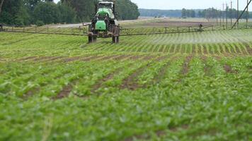 the tractor that irrigates sugar beet crops green field at rainy day video