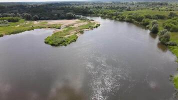 aéreo Visão do uma quieto rio e floresta às verão ensolarado dia dentro bielorrússia video