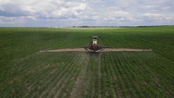 aerial top view red tractor sprayer works a field of young corn in a dry year video