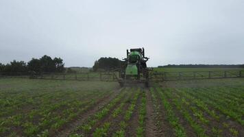 antenne visie van de trekker dat irrigeert de groen veld- van suiker biet gewassen video