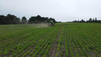 aérien vue de le tracteur cette irrigue le vert champ de sucre betterave cultures video