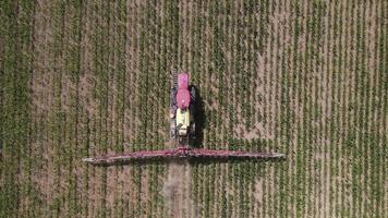 Antenne oben Aussicht rot Traktor Sprühgerät funktioniert ein Feld von jung Mais im ein trocken Jahr video