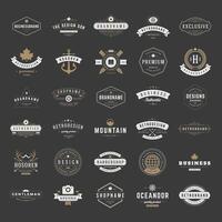 Vintage Logos Design Templates Set. logotypes elements vector