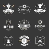 Vintage Logos Design Templates Set. logotypes elements vector