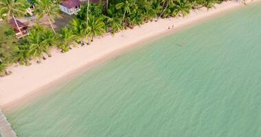 Aerial drone view of the tropical beach and the bridge with clear turquoise sea, white sand and trees video