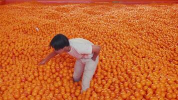 Child playing in a sea of oranges, vibrant citrus background. video