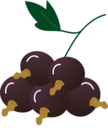 Sprig berries black currant organic png