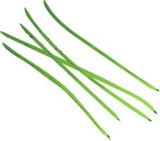 asparago verde salutare biologico cibo png