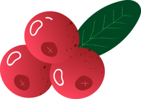 ganze Beeren Cranberry frisch organisch png