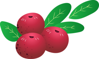 Whole berries lingonberry fresh organic png