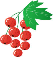 Sprig berries red currant organic png