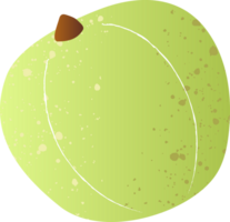 entier amla Frais biologique fruit png