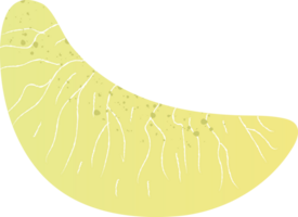 Piece broomstick fresh organic fruit png