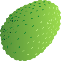 todo fruta-pão fresco orgânico fruta png