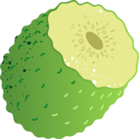 peça fruta-pão fresco orgânico fruta png