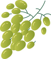 raminho verde uvas fresco fruta png