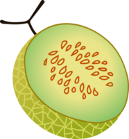 Piece melon green fresh fruit png