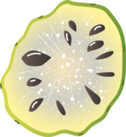 Piece noni fruit fresh fruit png