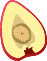 pezzo pomerac fresco biologico frutta png