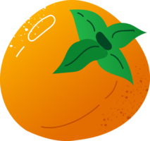 todo caqui Fresco orgánico Fruta png