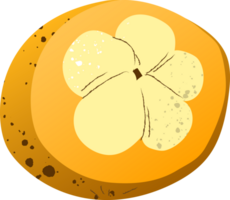 pièce santol Frais biologique fruit png