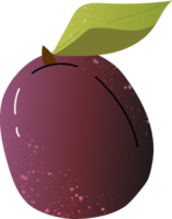 Whole star apple fresh fruit png