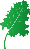 salade groen gezond biologisch voedsel png