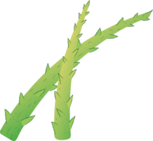asparago verde salutare biologico cibo png