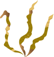 kelp grön friska organisk mat png