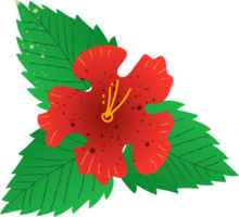 hibiscus groen gezond biologisch voedsel png