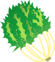 Kale green healthy organic food png