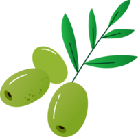 oliv grön friska organisk mat png