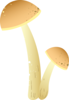 Pilze Leccinum holprig organisch Essen png