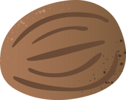 Whole nutmeg fresh organic nut png