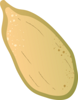 Whole pumpkin seed organic nut png