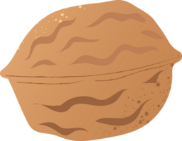 Whole walnut fresh organic nut png